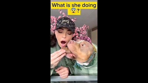 She gave her dog chocolate? But what kind of chocolate #dogshorts #doglife
