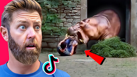 Wildlife Expert Reacts to Crazy Animal Zoo Attack TikToks