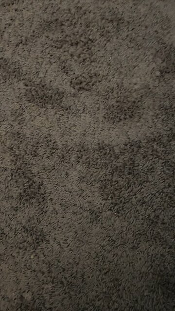 Test 3 primary and secondary