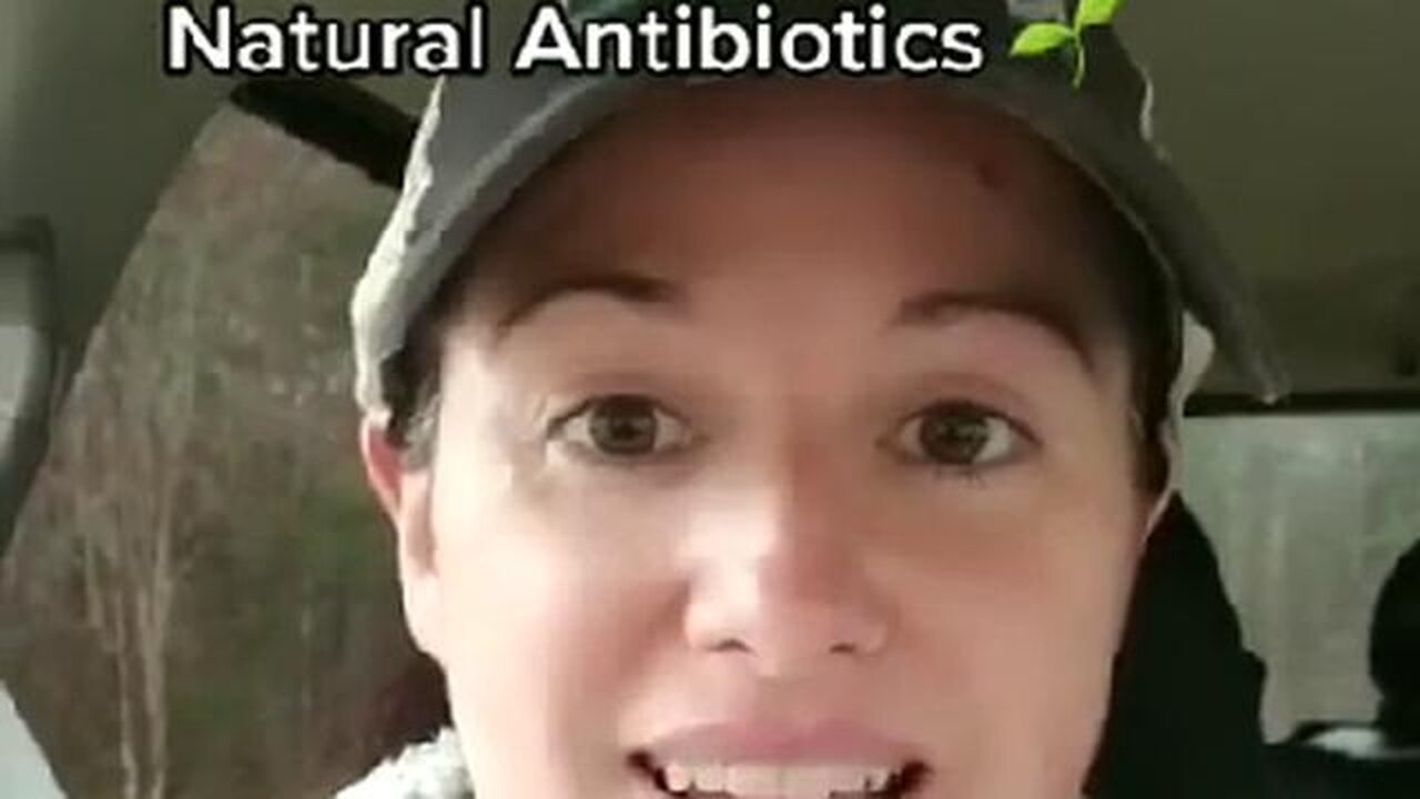 Did You Know There Are Four Natural Antibiotics...