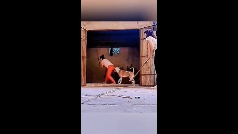 Kwai Funny video 😂😂