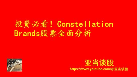 Constellation Brands 股票全面分析