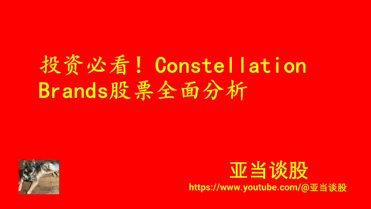Constellation Brands 股票全面分析