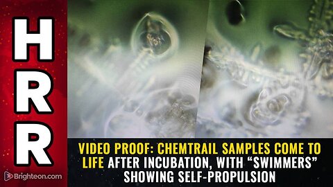 PROOF: Chemtrail samples COME TO LIFE after incubation, with “swimmers” showing self-propulsion
