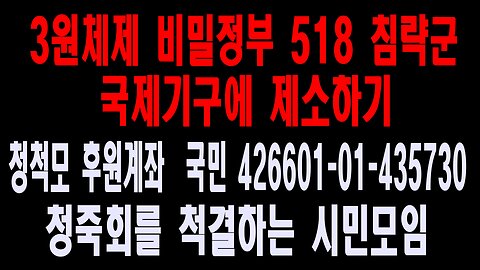 미국으로 건너가 국제기구에 직접 제소하겠습니다