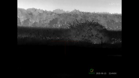 Michigan Coyote Hunt Oneleaf Technology mt1000 50mm
