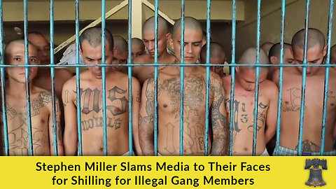 Stephen Miller Slams Media to Their Faces for Shilling for Illegal Gang Members