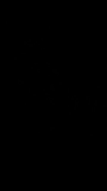 Collective consciousness