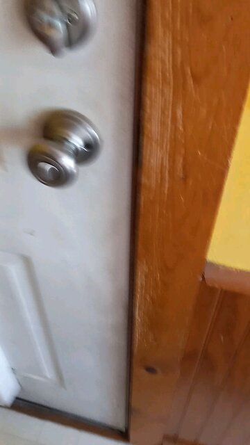 Clara, Timmy, and Astrid