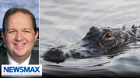 'Alligator Alcatraz' will house the worst of the worst: Florida GOP Chairman | National Report