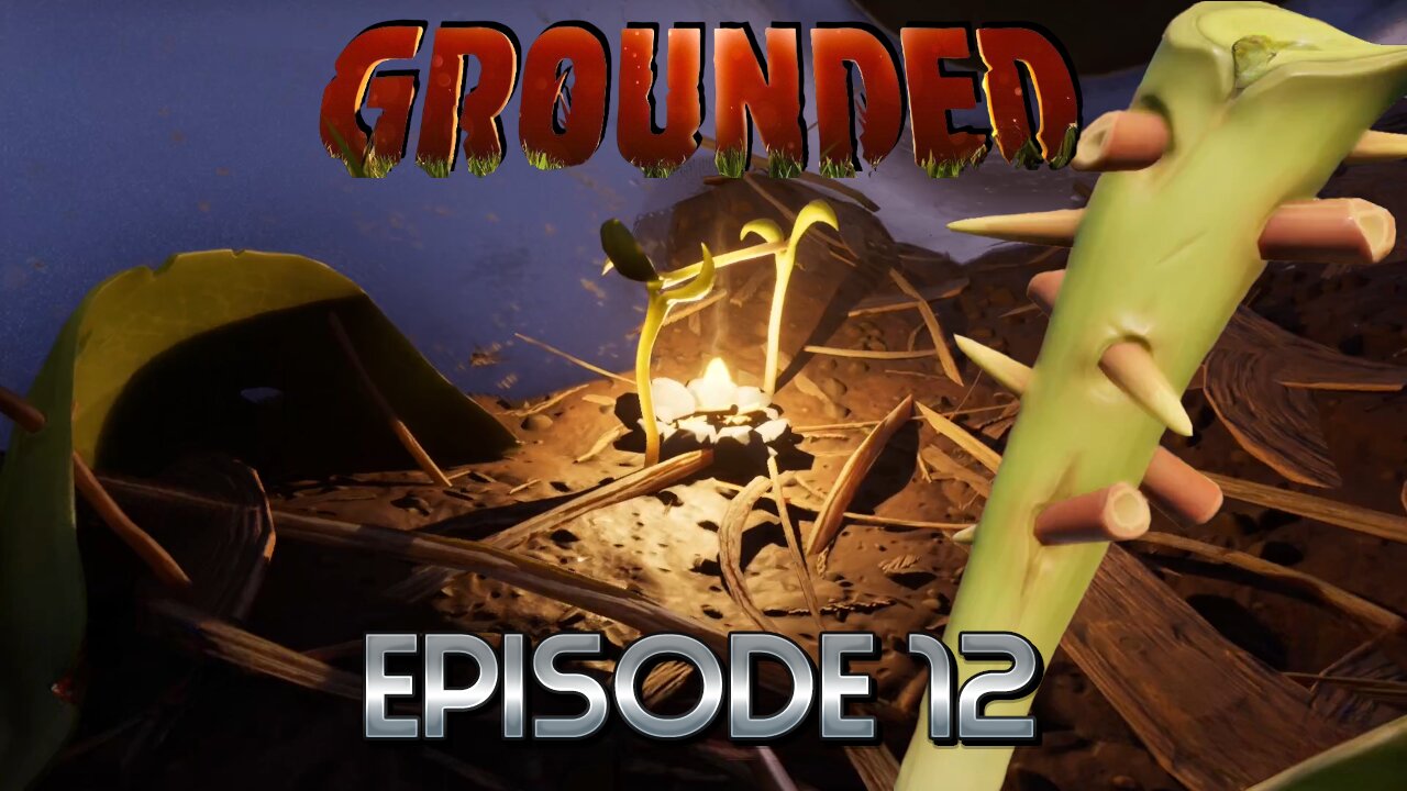 We Crafted Ant Armor & Upgraded Our Weapons Now Lets Take On A Spider... Oops! | Grounded - Ep12