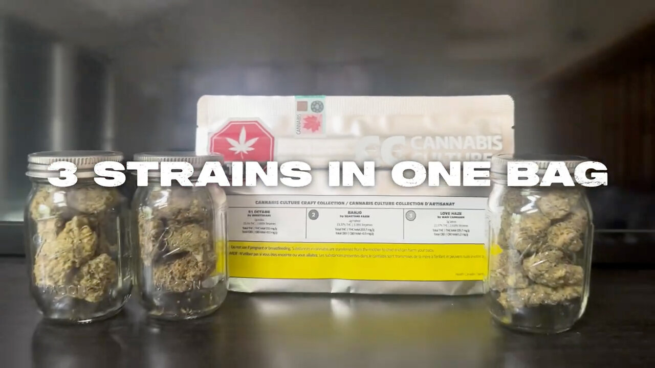Cannabis Culture Craft Collection: 3 Strains in 1 Bag