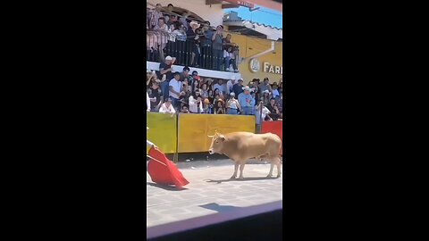 Epic Human Fails Compilation & Funny Moments #10 #funny #funnyfails #fypシ #foryou #funny #fypシ