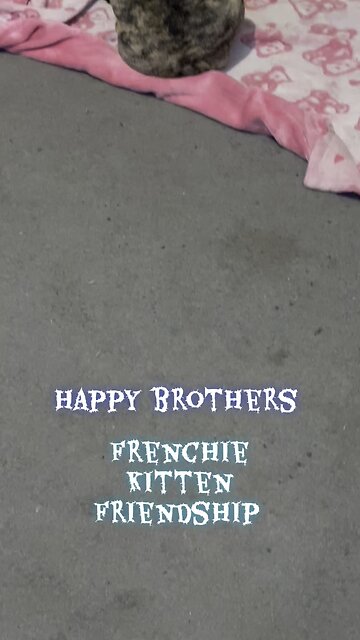 Elvia and puff friendship