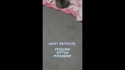 Elvia and puff friendship