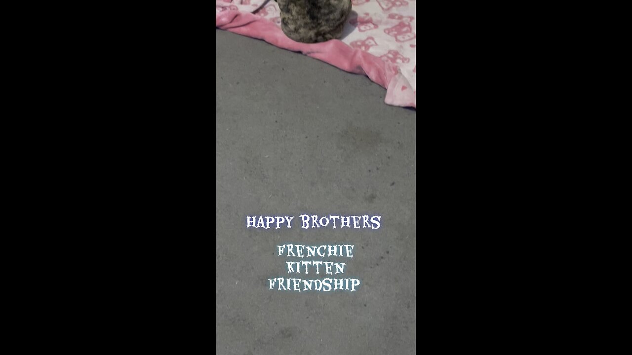 Elvia and puff friendship