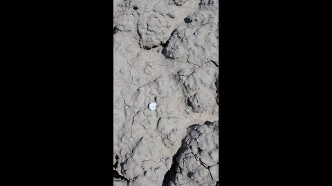 How to survive in the Desert