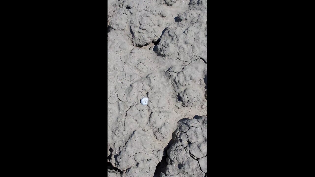 How to survive in the Desert