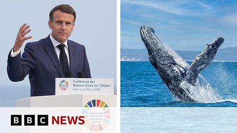 ‘Oceans are not for sale’, says French President Emmanuel Macron | BBC News