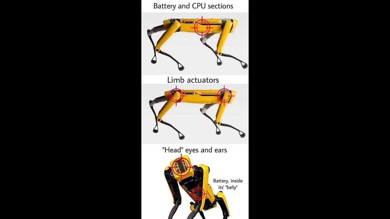 Robot Dog Kill Strategy...