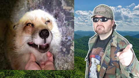 Story Time! By Finnegan Fox (SaveAFox) - Reaction! (BBT)