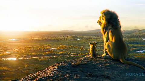The Lion King | 4K Cinematic Edit 🦁🌅