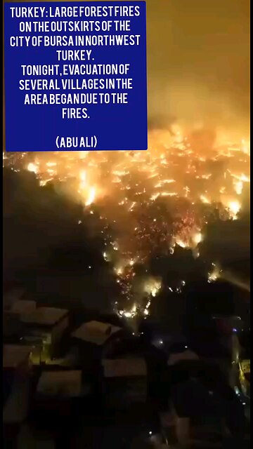 Turkey: Large forest fires on the outskirts of the city of Bursa in northwest Turkey.