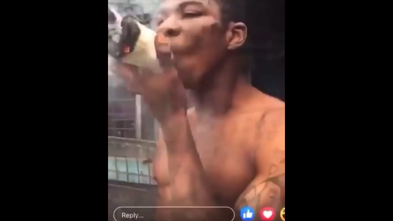 Man Smokes Three Giant Wraps of Igbo—What Happens Next Is Crazy!