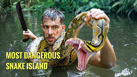 3dDAYS OF THE SCARIEST SNAKE ACTION I'VE EVER SEEN
