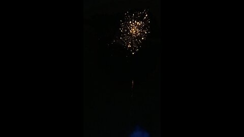 celebrating