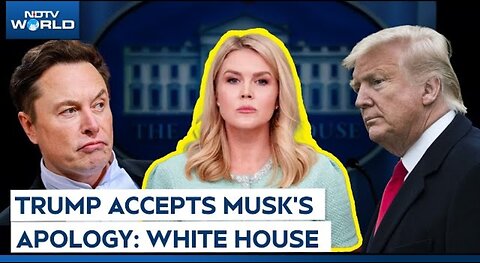 Elon Musk Apology | Karoline Leavitt Says Trump Is Appreciative of Musk's Apology