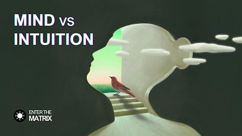 E0024 ENTER THE MATRIX - MIND vs INTUITION