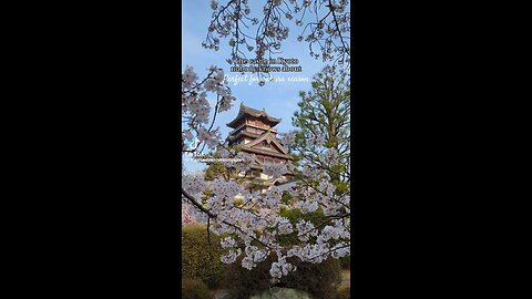 Ancient city Kyoto
