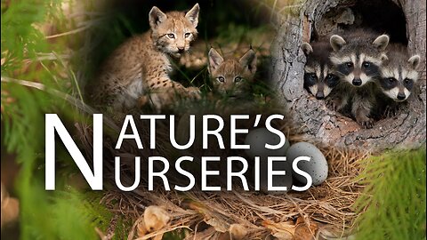 Nature's Nurseries