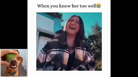 Funny videos compilation 45