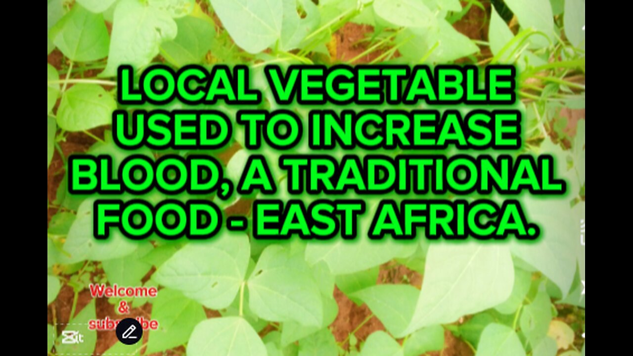 Local Vegetable used to increase blood, A tradional food - East Africa.