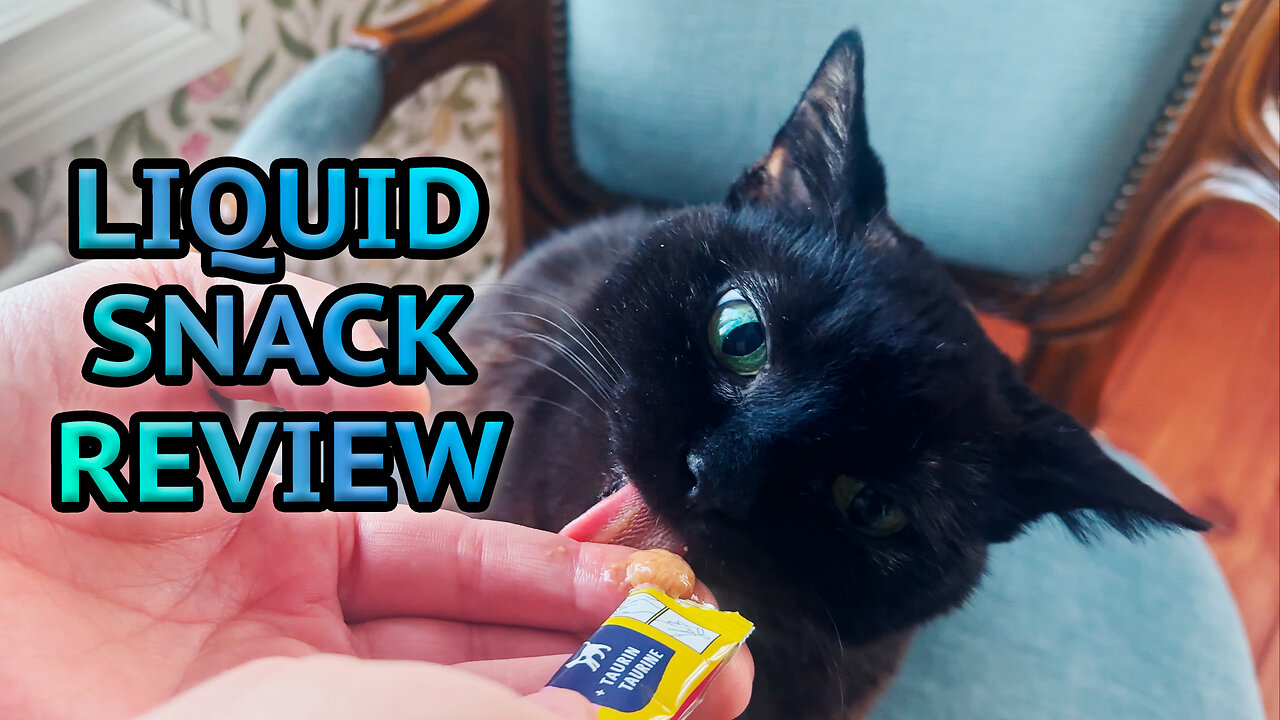 Vilma Cat Reviews a Liquid Snack