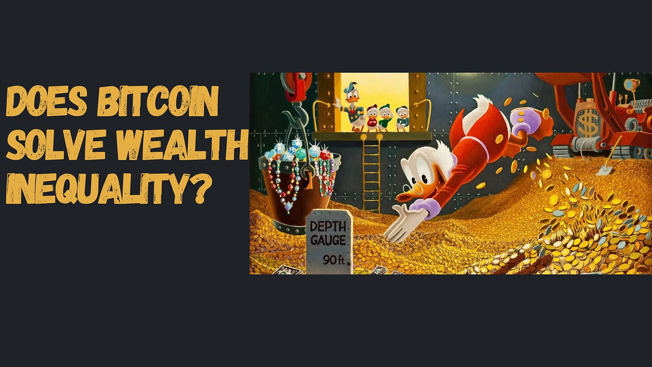 Does bitcoin solve Wealth Inequality?