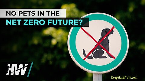 🐶🐱 ✈️ NO Pets & NO Traveling! 🐾 How the Net-Zero/Climate SCAM is Raising Concerns About Pets and Traveling