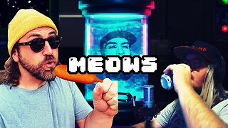 Lionmeows-Eternal Victim