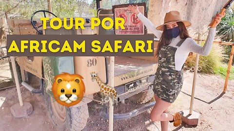 Africam Safari Puebla 2021🦁🦒🐺🦅 Toda la información que debes saber para visitar éste gran lugar.