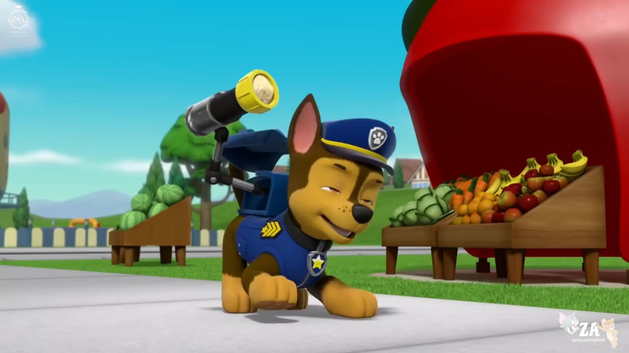PAW Patrol Cartoons