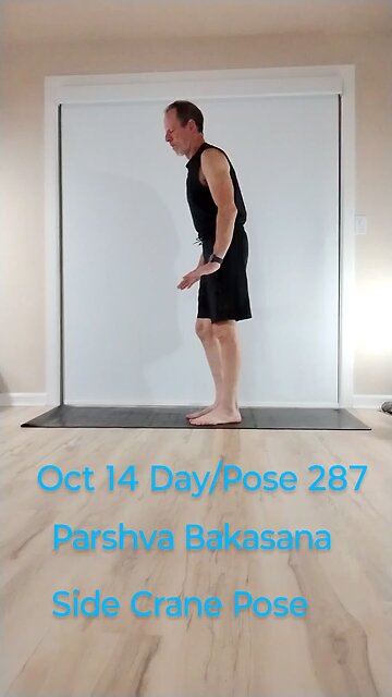 Parshva Bakasana / Side Crane Pose