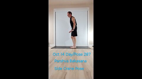Parshva Bakasana / Side Crane Pose
