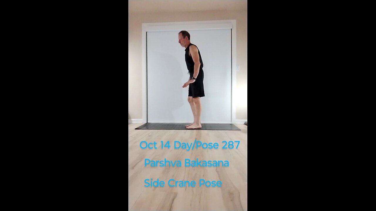Parshva Bakasana / Side Crane Pose