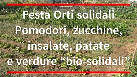 Festa Orti solidali Pomodori, zucchine, insalate, patate e verdure “bio-solidali”
