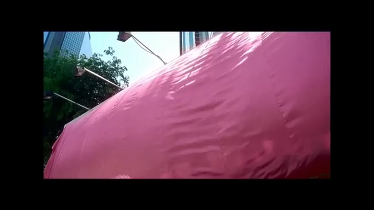Dekha