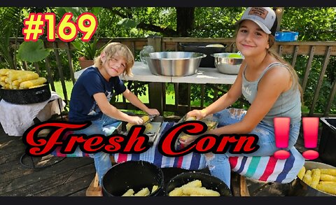 How To Prepare Fresh Sweet Corn For The Freezer‼️