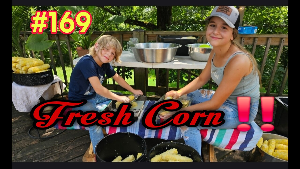 How To Prepare Fresh Sweet Corn For The Freezer‼️