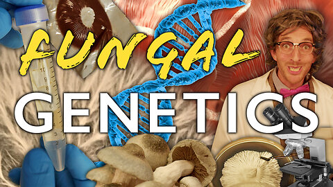 The Mushroom Culture Library, Preserving Genetics & the Basics of Breeding